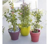 Nortene Tutor Steel Plast Verde Resistente para Plantas y Huerto 120 CM