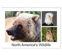 North America's Wildlife (Wall Calendar 2027 DIN A3 landscape), CALVENDO 12 Month Wall Calendar: Variety of wildlife in North America