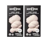 North Spore - Kit de cultivo de melena de león orgánica y hongo ostra azul (2 unidades) | Certificado orgánico USDA, sin OMG, apto para principiantes y fácil de usar