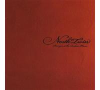 North Twin - Stronger at The Broken Places