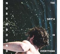 Northbound - The Flaws In Everything (LP) [Vinilo]
