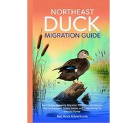 Northeast Duck Migration Guide: Best Birding Hotspots, Migration Timelines, and Species Tips for Dabblers, Divers, Swans, and Geese Along the Atlantic Flyway