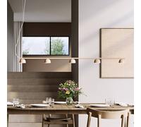 Northern Blush lámpara colgante LED 5 luces, beige True