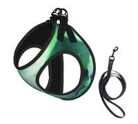 Northern Lights - Juego de arnés y correa para perro con estampado de oso polar, chaleco reflectante ajustable para cachorros pequeños, medianos y grandes y gatos