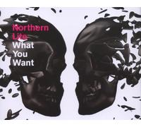 Northern Lite - What You Want [Import]