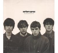 Northern Uproar - ROLLERCOASTER 7 INCH (7" VINYL 45) UK HEAVENLY 1995