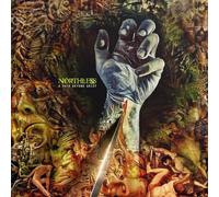 Northless - A Path Beyond Grief [Vinilo]