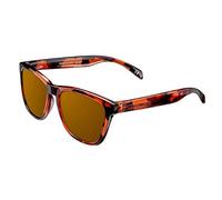 Northweek Regular Tortoise - Gafas de Sol Polarizadas para Hombre y Mujer, Tortoise / Ámbar