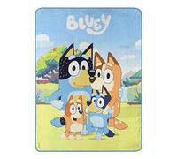 Northwest Bluey Micro Raschel - Manta de 46 x 60 Pulgadas, Foto Familiar