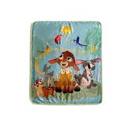 Northwest Disney Wish Silk Touch Sherpa - Manta Sherpa de 40 x 50 Pulgadas, My Friends