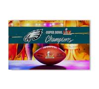 Northwest NFL Philadelphia Eagles 2025 Super Bowl LIX Parade - Alfombra lavable 36 x 62 pulgadas