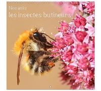 Nos amis, les insectes butineurs (Calendrier mural carré 2026 30 x 60 cm (ouvert)) Calendrier double avec une page pour vos prises de notes