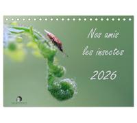 Nos amis les insectes (Calendrier de bureau 2026 DIN A5 vertical), CALVENDO calendrier mensuel: Un regard fascinant sur le monde miniature des insectes.