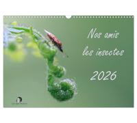 Nos amis les insectes (Calendrier mural 2026 DIN A3 vertical), CALVENDO calendrier mensuel: Un regard fascinant sur le monde miniature des insectes.