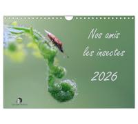 Nos amis les insectes (Calendrier mural 2026 DIN A4 vertical), CALVENDO calendrier mensuel: Un regard fascinant sur le monde miniature des insectes.