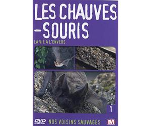 Nos voisins sauvages Vol. 1 - Les chauves-souris : La vie à l'envers [Francia] [DVD]