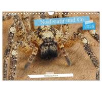 Nosferatu und Co. (Calendario de pared 2026 DIN A4 horizontal), calendario mensual CALVENDO