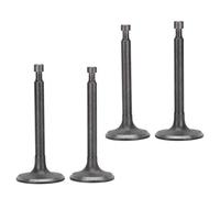 Nosqew Kit de válvula de escape de admisión, piezas originales del motor OEM, accesorios de generador de gasolina duraderos de alto rendimiento para generadores forestales, 2 juegos 170F GX210 2.5kw