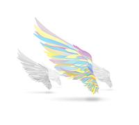 翼を持つ者 ~Not an angel Just a dreamer~