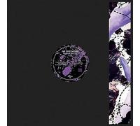not even noticed - No More Waiting [Vinilo]