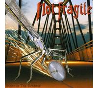 Not Fragile - Scratch The Surface