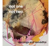 Not One Not Two - Openings and Samadhis