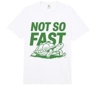 Not So Fast Turtle Comfort Colors Adult Heavyweight T-Shirt