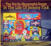 Not So Meaningful Songs in the Life of Jeremy Fink