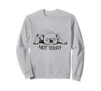 Not Today Koala Funny Lazy Animal Lover and Sleeping Sudadera