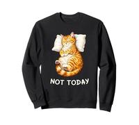 Not Today Lazy Sleeping Orange Cat Meme Funny Morning Mood Sudadera