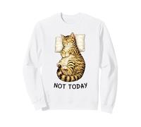 Not Today Lazy Sleeping Tabby Cat Meme Funny Morning Mood Sudadera