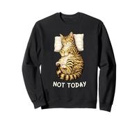 Not Today Lazy Sleeping Tabby Cat Meme Funny Morning Mood Sudadera