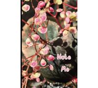 Note & Sketch, Sketch & Note, Drawing & Writing, Writing & Drawing, Idea Journal, Creative Notebook, Art & Note, Doodle Pad, Pocket Sketchbook, Portable Notebook