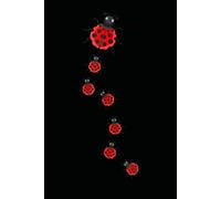 Notebook 6"x9" and 120 Lined Paper: Ladybugs with red polka dot wings for insect lovers