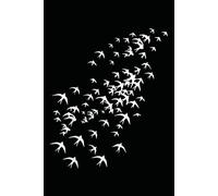 Notebook 6"x9" and 120 Lined Paper: Swallows Flying in the Sky