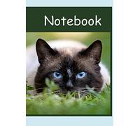 Notebook: Cuaderno de gatos, notebook de gatos en blanco para escribir, dibujar, tomar notas (Notebook Cuadernos en blanco de cuadernoterapia.com)