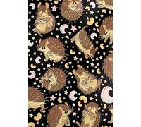 Notebook: Cute Fairy Armadillo, 100 Pages 6 x 9 Wide Ruled Lined Pages Journal Diary For Kids, Teens, And Animal Lovers, Perfect For Notes, Drawing, Writing, And Daily Ideas.