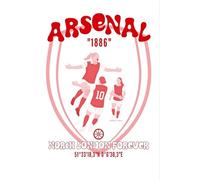Notebook: Gift notebook for Women's Football, England soccer, Lionesses fans, uwcl, awfc