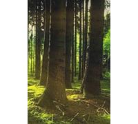 Notebook in Grid - Forest theme: Graph Paper 5x5 mm Ideal for school, Study and Work