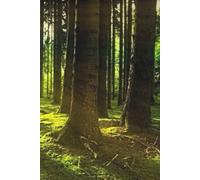 Notebook in Grid - Forest theme: Graph Paper 5x5 mm Ideal for school, Study and Work