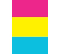 notebook: Pansexual Pride Flag Inspired Notebook