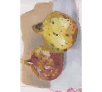 NOTEBOOK: Pomegranate 02