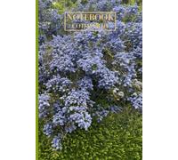 Notebook Pretty Cotswold Countryside A5 120 pages lined for Nature Lovers: Perfect for journaling, countryside walks, or a thoughtful gift for nature ... pretty picture of the Cotswold countryside.