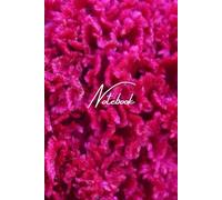 Notebook - Quaderno a Righe 6x9 | 120 pagine: Taccuino semplice e versatile per appunti, journaling, scrittura creativa o uso scolastico - Elegante, moderno e compatto