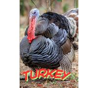 Notebook With Animals: TURKEY.: A Cute and Fun Animal-Themed Notebook for Kids, Students and Animal Lovers