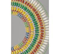 Notebook with Beaded Broad Collar from New Kingdom Egypt - 7x10”, College Ruled, 150 Pages: Lined Writing Journal for Notes, Ideas, and Everyday Use