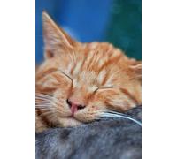 Notebook: Your Mind on Paper. Probably Brilliant Stuff Inside