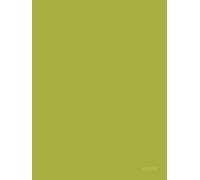 Notes: Citron Yellow: Notizbuch in Gelb | Notebook in Yellow