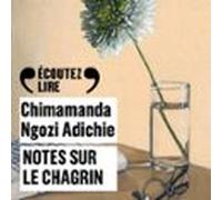Notes sur le chagrin