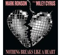 Nothing Breaks Like A Heart [Vinilo]